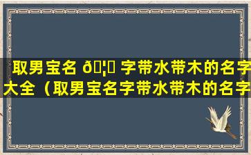 取男宝名 🦊 字带水带木的名字大全（取男宝名字带水带木的名字大全四个字）